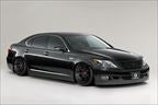 Ls460 10-12 Pure VIP