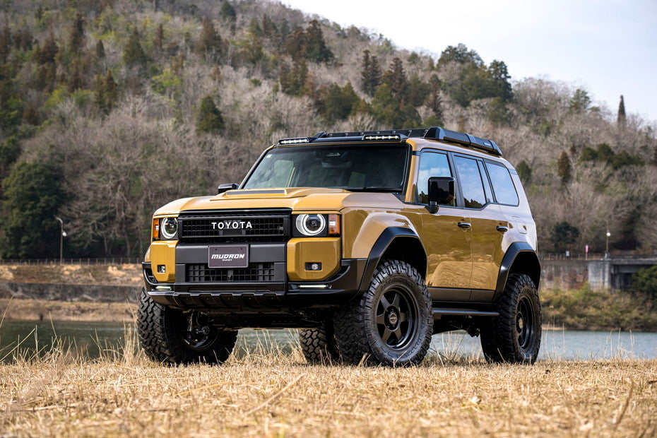 Land Cruiser 250