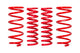Eibach 21-22 Toyota 4Runner TRD 4.0L V6 4WD Pro Lift Kit