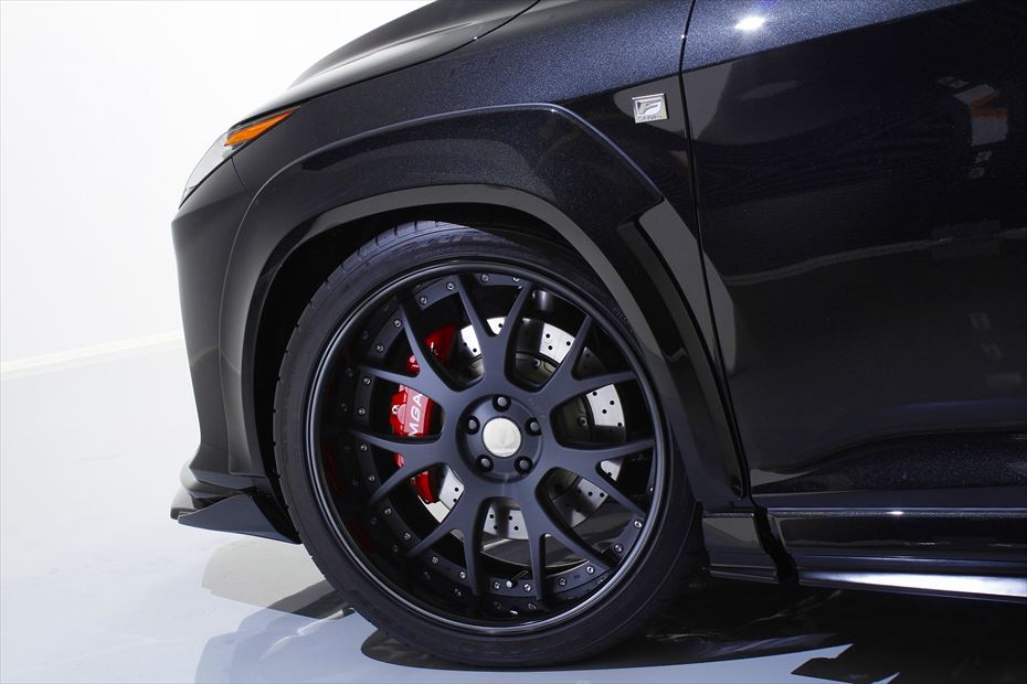 Aimgain Lexus RX350 16-19 PURE VIP EXE Front Over Fenders L+R