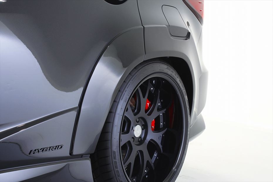 Aimgain Lexus RX350 16-19 PURE VIP EXE Rear Over Fenders L+R