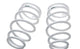 HKS MAX 4 SP BNR34 Rear Springs w/ 8K Spring Rate ( 1790-HD030 )