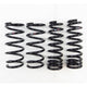 RS-R 13+ Lexus GS350 RWD F-Sport (GRL10) Super Down Springs