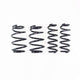 RS-R 19-25 Toyota RAV4 Prime Down Sus Springs