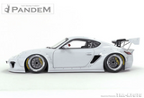 GReddy Pandem RB 09-12 Porsche Cayman V2 Rear Over-Fenders (Special Order)