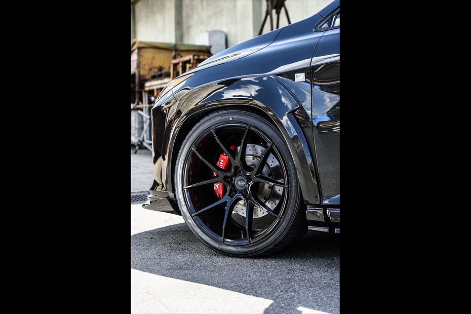 Aimgain Lexus RX350 16-19 PURE VIP EXE Front Over Fenders L+R