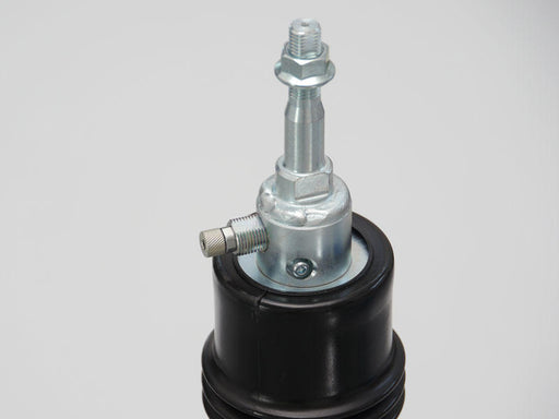 Cusco 17+ Honda Civic Touring/Sport Full-Length Adjustable