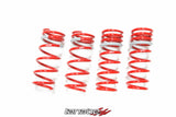Tanabe DF210 Springs – 1998-2005 Lexus GS400 / GS430
