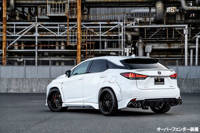 Aimgain Sport Lexus RX350 20-22 F-Sport Rear Over Fenders L+R