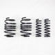 RS-R 2023+ Lexus RX350 AWD Down Sus Springs