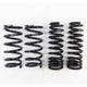 RS-R 2014-2020 Lexus IS250/350 RWD (GSE30/GSE31) Down Sus Springs