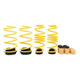 ST Adjustable Lowering Springs 2022+ Volkswagen Golf VIII GTI/R (MQB)