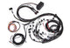 Haltech Elite 2500 Terminated Harness w/EV1 Injector Connectors
