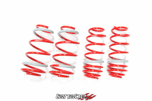 Tanabe DF210 Springs 08-09 xD