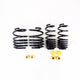 RS-R 2023+ Honda Civic Type R (FL5) Down Sus Springs (Clearance)