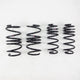 RS-R 2017-2022 Honda Civic Type R (FK8) Down Sus Springs (Clearance)
