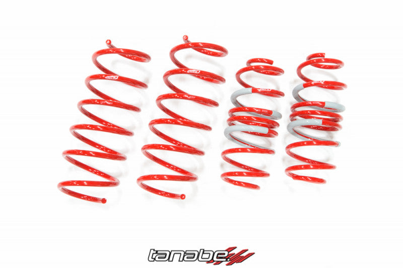 Tanabe DF210 Springs 09-14 Fit