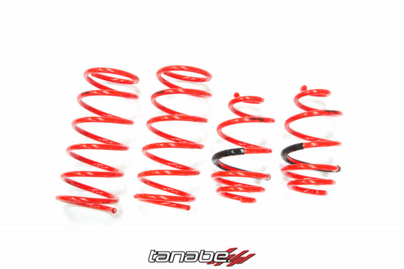 Tanabe NF210 Springs 10-14 Cube