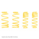 ST Muscle Car Springs Ford Mustang