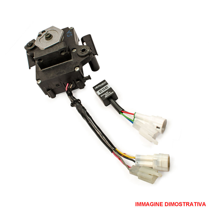 Akrapovic Sound Kit Replacement Cable/ Wire Harness