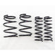 RS-R 14-15 Subaru Forester Non-Turbo Down Sus Springs