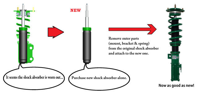 Tein Replacement Damper Assembly