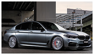 Leon Hardiritt Ilios CV 21x10.5