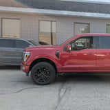 Universal Air Ford F150 Front Only 2004-2013 Solution Series - view 4