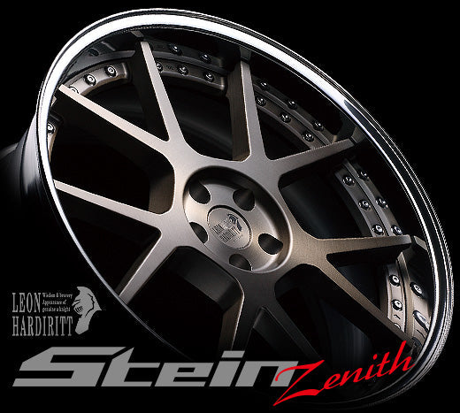 Leon Hardiritt Stein Zenith 22x11.5