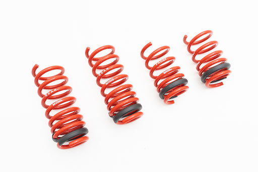 Megan Racing Audi R8 17+ V10 Only (Exc Mag-Ride) Lowering Springs - MR-LS-AR817