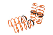 Megan Racing Ford Fiesta 11-16 (EXC ST Model) Lowering Springs - MR-LS-FFSA12