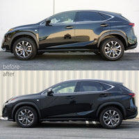 Megan Racing Lexus NX200T 15-21 FWD Lowering Springs - MR-LS-LNX15