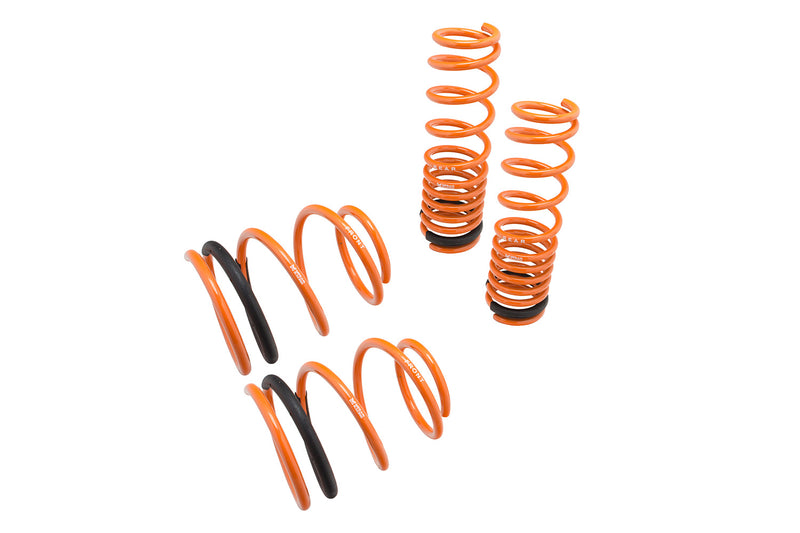 Megan Racing Lowering Springs for Mitsubishi EVO X 08-16 - MR-LS-MLEX08