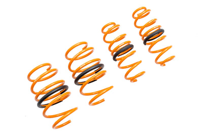 Toyota Corolla 19+ Hatchback Lowering Springs (EXC Sedan) - MR-LS-TCO19H