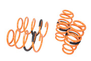Megan Racing Toyota RAV4 2013-2018 (FWD) Lowering Springs - MR-LS-TR13