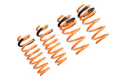 Megan Racing Tesla Model 3 17+ (RWD Only) Lowering Springs - MR-LS-TSL17