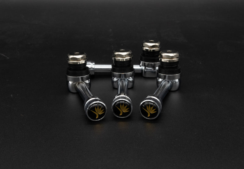 Weds/Kranze Air Valve Stem set