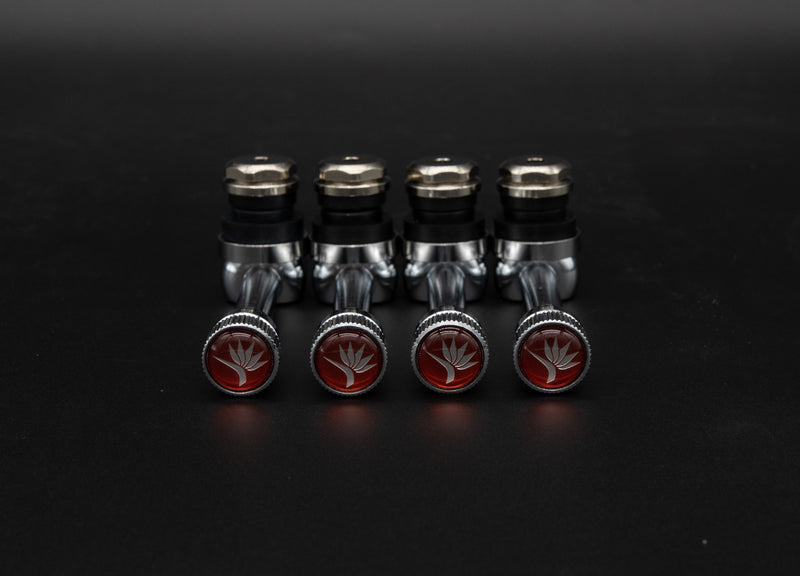 Weds/Kranze Air Valve Stem set