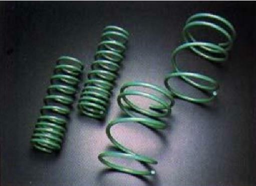 Tein 06+ Magnum V8 5.7L R/T (exc Self Levelizer model) S Tech Springs