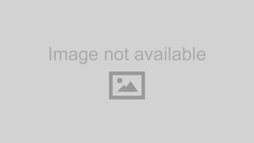 BLOX Racing O2 Bung - Mild Steel