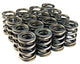 BLOX Racing Dual Valve Springs for H22A (2.2L DOHC VTEC)