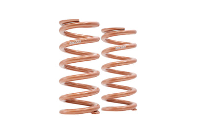 10 Inch Length Metric Springs