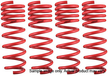 Tanabe DF210 Springs 08-09 xD